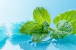 Fresh mint leaves in water gel on blue background