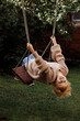 A young girl is swinging on a swing in a backyard. She is wearing a sweater and she is enjoying herself