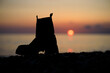 the silhouette of a shoe on the seashore during sunset