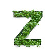 Capital letter Z is created from young green arugula sprouts on a white background.