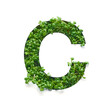 Capital letter C is created from young green arugula sprouts on a white background.