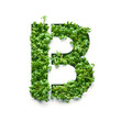 Capital letter B is created from young green arugula sprouts on a white background.