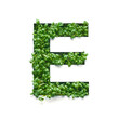 Capital letter E is created from young green arugula sprouts on a white background.
