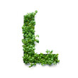 Capital letter L is created from young green arugula sprouts on a white background.