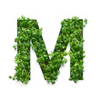 Capital letter M is created from young green arugula sprouts on a white background.