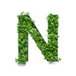 Capital letter N is created from young green arugula sprouts on a white background.