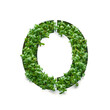 Capital letter O is created from young green arugula sprouts on a white background.