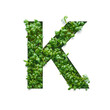 Capital letter K is created from young green arugula sprouts on a white background.