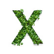 Capital letter X is created from young green arugula sprouts on a white background.