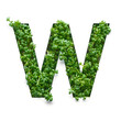 Capital letter W is created from young green arugula sprouts on a white background.