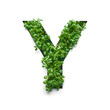 Capital letter Y is created from young green arugula sprouts on a white background.