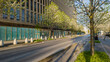 Springtime urban street with blossoming trees and modern architecture, ideal for Earth Day and urban renewal themes