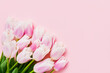 Bunch of white tulips on pink background. Mothers day greeting card. Copy space