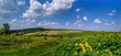 Panoramic view of sunflower field, rural summer landscape with blue sky and clouds