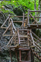 Wall Mural - Beautiful wooden hand-made bridge in the eco path.