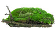 Green mossy hill with rotten branch isolated on a white background. Green moss on soil.