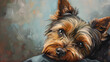 Yorkshire Terrier brown dog adorable animals