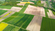 Beautiful farmland and coutryside in Ponidzie, Poland. Aerial drone view