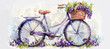 A watercolor depiction featuring a purple bicycle adorned with a basket filled with grapes.
