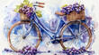 Watercolor illustration of violet bike with grape in the basket, violet background
