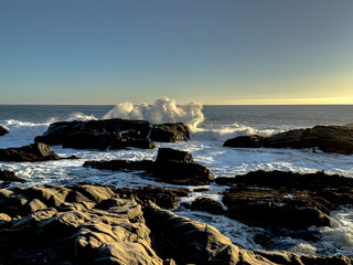 Rocky coast of the ocean, California, USA