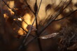 albero di scotano nel bosco in autunno