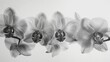   A monochrome picture of an array of flowers with one flower centered at either end