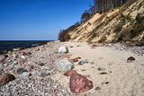 Fototapeta  - Baltic sea coast with sandy beach and cliff overgrown with trees on Wolin island