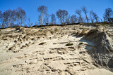 Fototapeta  - sandy cliff on the dunes by the beach on the Baltic Sea on the island of Wolin