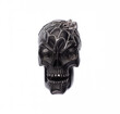 halloween black skull with cobweb isolated on white background