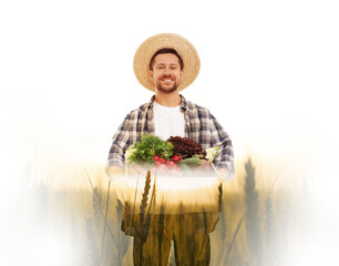 Poster - Double exposure of farmer and wheat field on white background