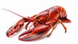 © JK_kyoto - A lobster, with its striking red shell and prominent claws, poised and majestic, a delicacy of the ocean, isolated on white background