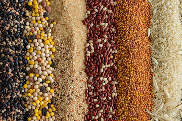 Wall Mural - Close up of grains and beans textures of health square format 