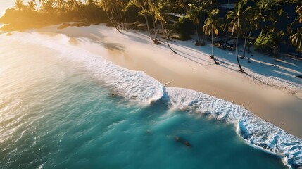 Poster - Beautiful panoramic aerial view of tropical beach with palm trees.
