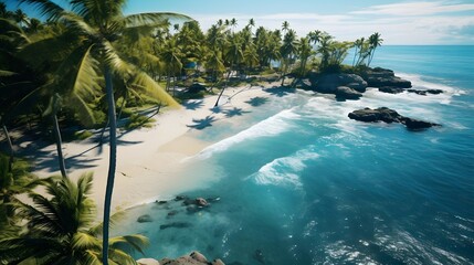 Wall Mural - Panoramic view of Seychelles beach with palm trees