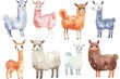 A group of llamas standing together. Suitable for various projects
