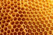 © Fotograf - Detailed view of a honeycomb, suitable for food or nature themes