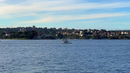 Wall Mural - Sydney Harbour forshore viewed from the Gardens in NSW Australia on a nice sunny and partly cloudy afternoon blue skies