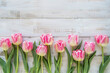 Beautiful Pink Tulips on a Light Wooden Board with Space for Copy, Mothers Day