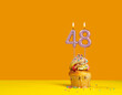 Birthday celebration with cupcake - Candle number 48