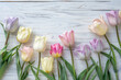 Beautiful Pastel Tulips on a Light Wooden Board with Space for Copy, Mothers Day