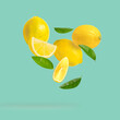 Lemon with leaves and slices levitation on green background.
