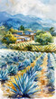 Watercolor illustration of blue agave farm
