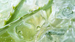 Green texture of aloe gel used in cosmetology.