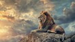 Portrait of a male lion standing on a rock on a hill