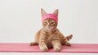 The beige cat athlete in a sport headband is doing yoga exercises on a pink fitness mat. 