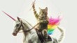 The cat with a rainbow sword is riding the real unicorn. White background.