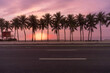 Palm trees on Copacabana Beach at sunrise. Warm sky and sun above the horizon, Rio de Janeiro