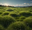 3dgreen grass meadow outdoor 3d-illustration