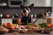 © sandra - 'panorama healthy fresh ingredients pet food raw animal banner fodder meat uncooked beef cubed nourishment cat dog ingredient carnivore eat chicken heart-shaped liver offal vegetable cereal dish'